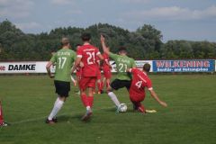 DSCF1342
